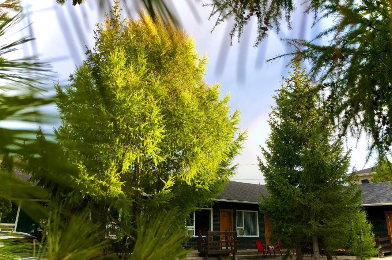 Motel Boutique Hygge באי-סנט-פול מראה חיצוני תמונה